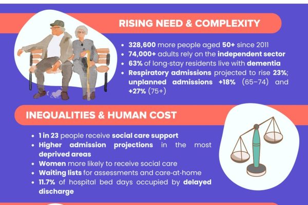 Human Rights Day 2 Stats Infographics