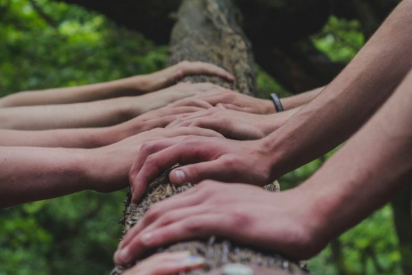 shane-rounce-DNkoNXQti3c-unsplash (2)